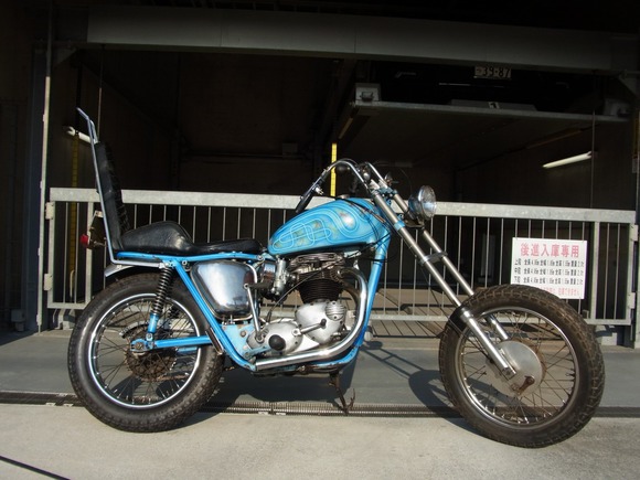 Triumph survivor