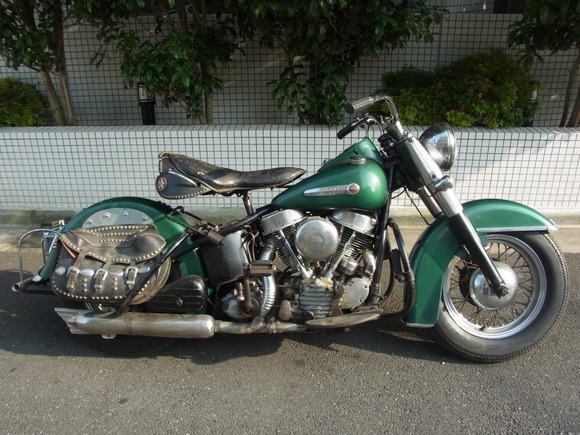 Metallic Congo Green